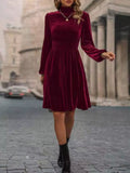 Velvet High Neck A-Line Dress